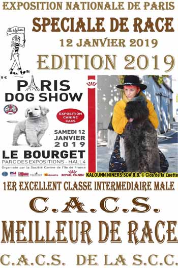 KALOUNN PARIS DOGSHOW 19